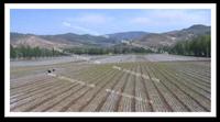 2014 new style  high quality biodegradable plastic mulch film extirpating weed for sensitive crops 