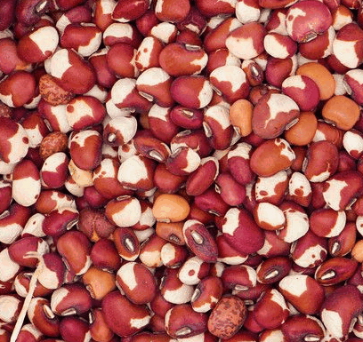 Beans