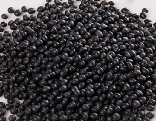 Beans