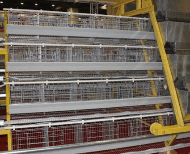 Poultry Equipments
