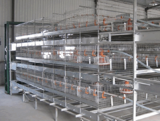 Breeding Cages