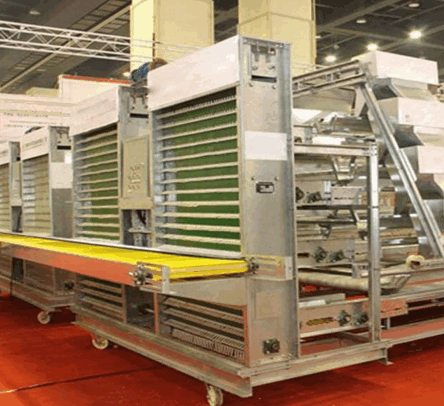 Poultry Equipments