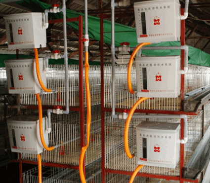Poultry Equipments