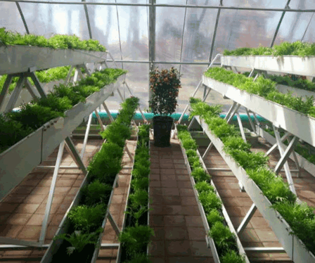 Breeding Cages