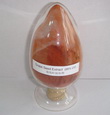 Grape Seed Extract/Vitis vinifera L./