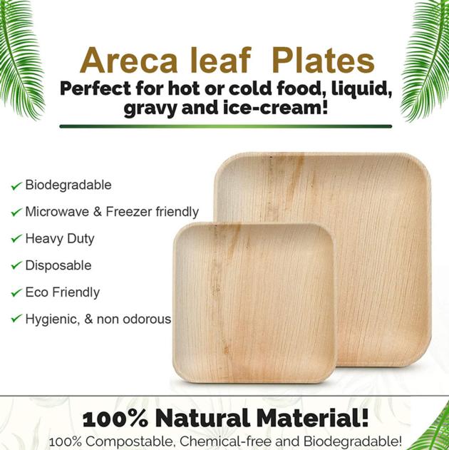 Areca leaf plates