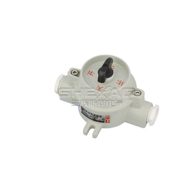explosion-proof illumination switch(d II B,de II B) SH-BZM-10 