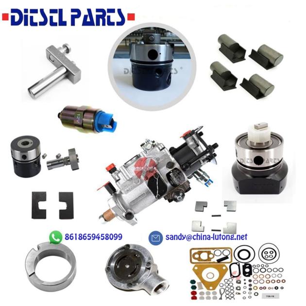 delphi dp200 parts 7189-267K 4cyl delphi dpa pump parts