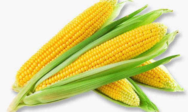 Resistant Dextrin(Soluble Corn Fiber)