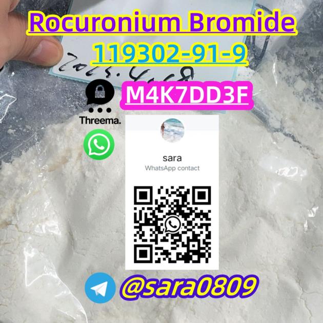 fast delivery 119302-91-9 Rocuronium bromide