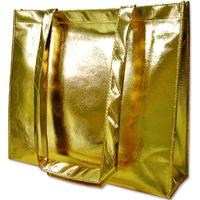 2011 New style non woven bags