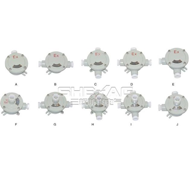 explosion-proof Junction box (II B,II C,e) SH-BJXH 
