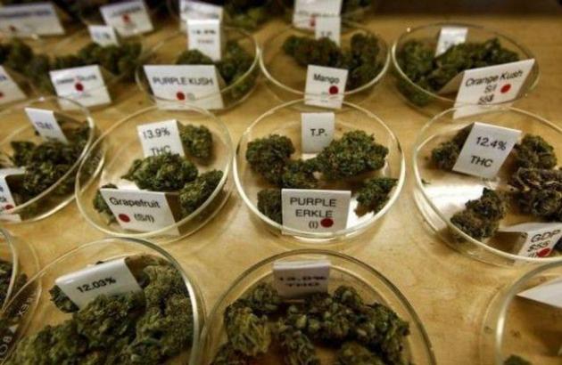 Top shelf medical marijuana and thc/cbd cartridges