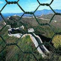 hexagonal wire mesh