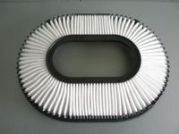 Genuine MITSUBISHI Air Filter