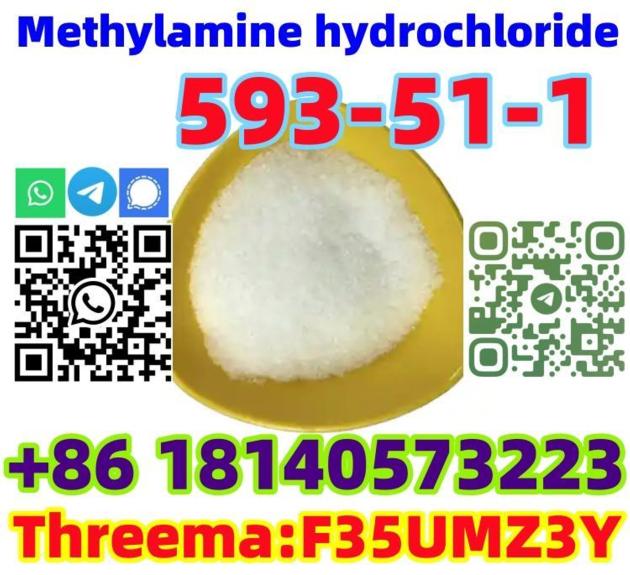 Europe warehouse CAS 593-51-1 Methylamine hydrochloride with low price