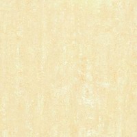 POLISHED PORCELAIN TILE (6202)