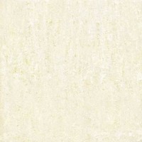 POLISHED PORCELAIN TILE (6204)