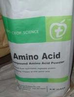 Amino Acid Powder