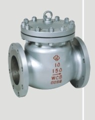 Check Valve