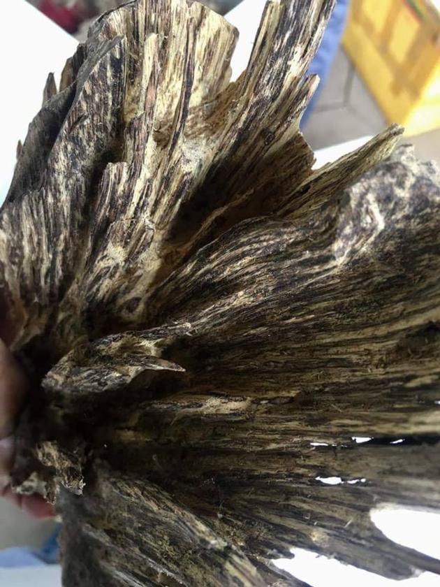 Agarwood Chunks