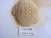 Alpha Amylase
