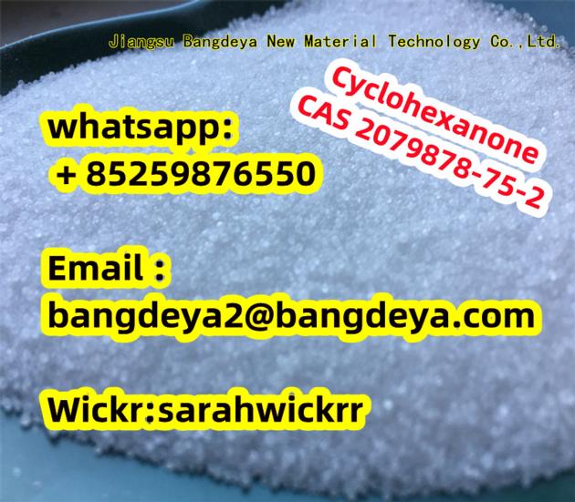 2079878-75-2 2-(2-Chlorophenyl)-2-nitrocyclohexanone precursor   China manufacturer supply