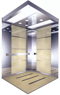 Beautiful Passenger elevator lift D18203