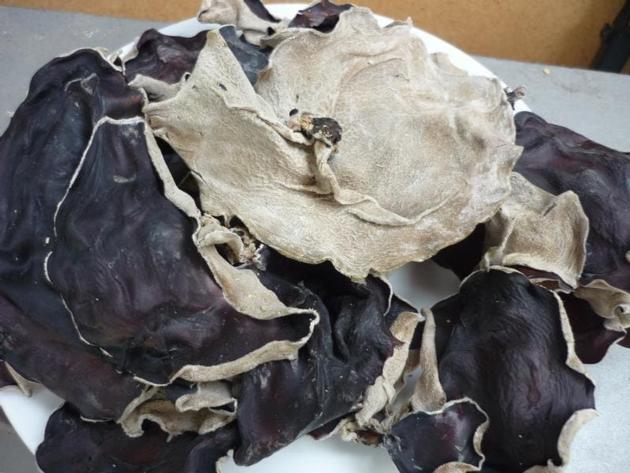 Black Fungus Mushroom Wood Ear Mushroom