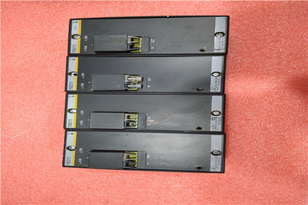 BRAND NEW BACHMANN PLC MODULE MX213/W