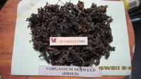 DRIED SARGASSUM SEAWEED