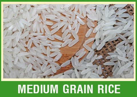 MEDIUM RICE, LOWEST PRICE