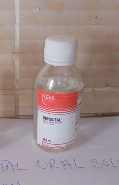 Nembutal Sodium Pentobarbital for sale