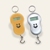 fishing scale