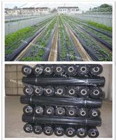 2014 new style  high quality polythene black mulch film for agriculture