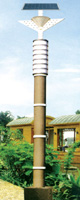 Solar light