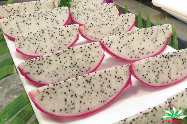 OFFER DRAGON FRUIT, BEST FRUIT, CHEAP PRICE