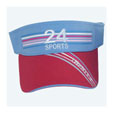 Visor