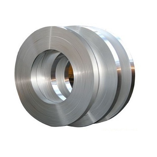 Stainless Steel Strips	