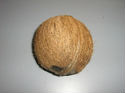 Coconut