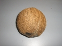 Fresh Coconut