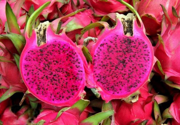 DRAGON FRUIT FRESH FRUIT TROPICAL FRUIT