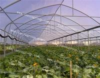 2014 new style  high quality coating type greenhouse film for hot sale