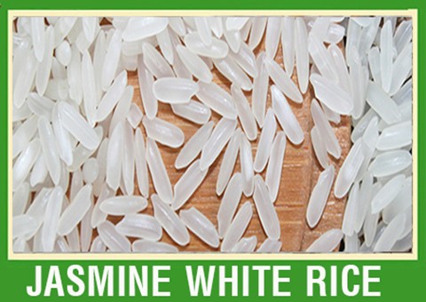 JASMINE RICE 5% BROKEN-LOWEST PRICE
