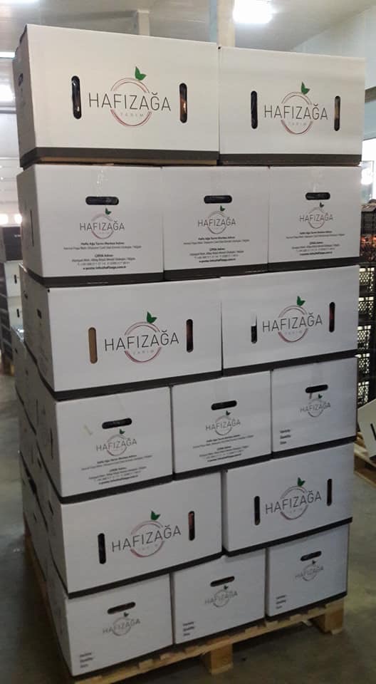 Fresh Apple