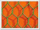 Hexagonal Wire Mesh