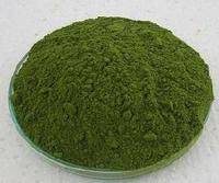 MORINGA OLEIFERA LEAVES POWDER 