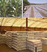 2014 new style  high quality oxide degradable mulch film for agriculture