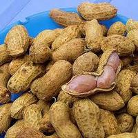PEANUT IN SHELL