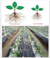 2014 new style  high quality color-matching mulch film for agriculture